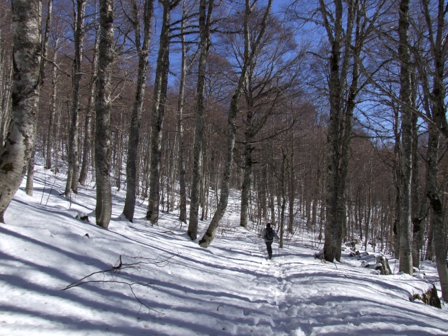 da Barrea a lago Vivo (P.N.A.)